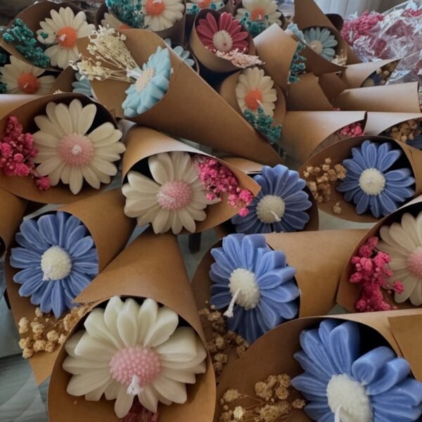 وردة البابونج – Chamomile Bloom